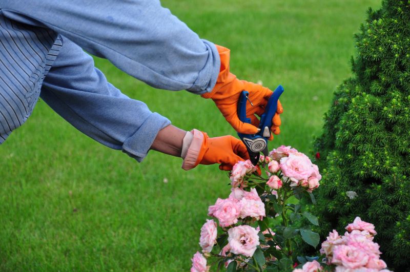 Shrub Pruning in Ventura County, CA