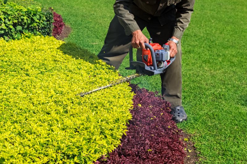 Shrub Trimming in Ventura County, CA