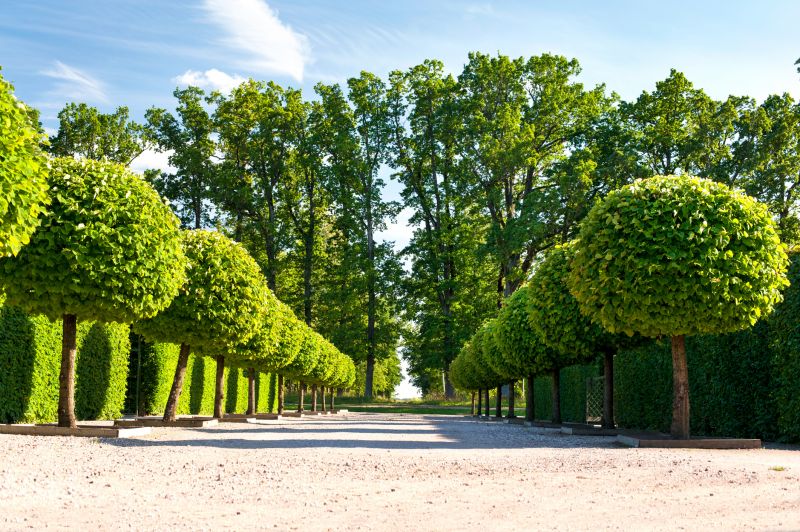 Topiary Maintenance