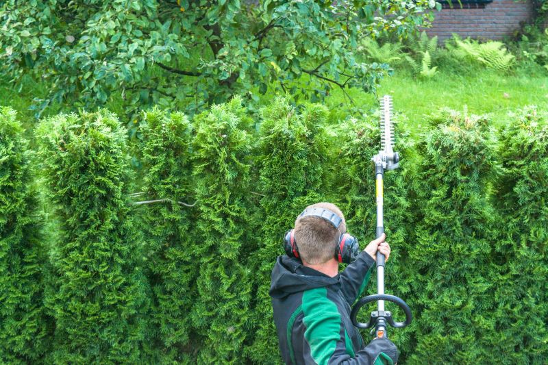Arborvitae Pruning in Ventura County, CA