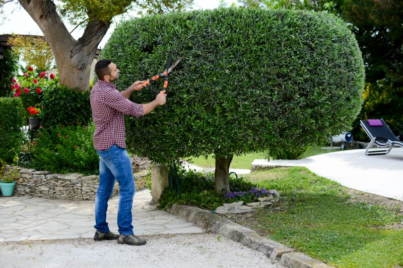 Bush Pruning in Aiken, SC