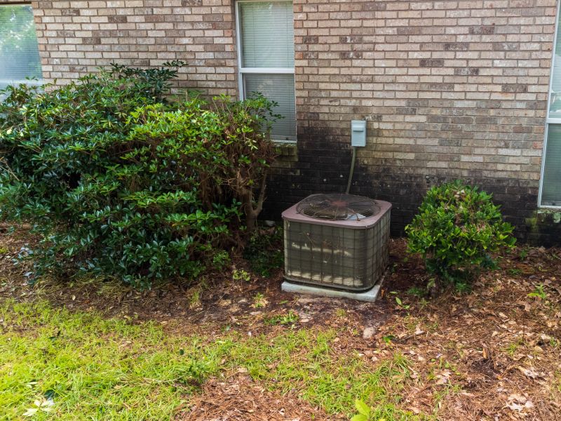 Bush Relocation in Rockwall, TX