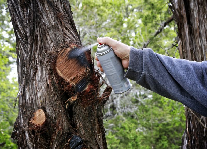 Cedar Tree Trimming in Pottstown, PA
