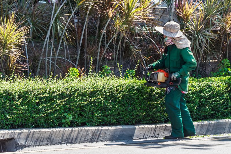 Commercial Shrub Trimming in Ventura County, CA