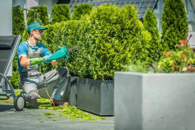 Commercial Shrub Trimming in Aiken, SC