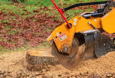 Commercial Stump Grinding in Pottstown, PA
