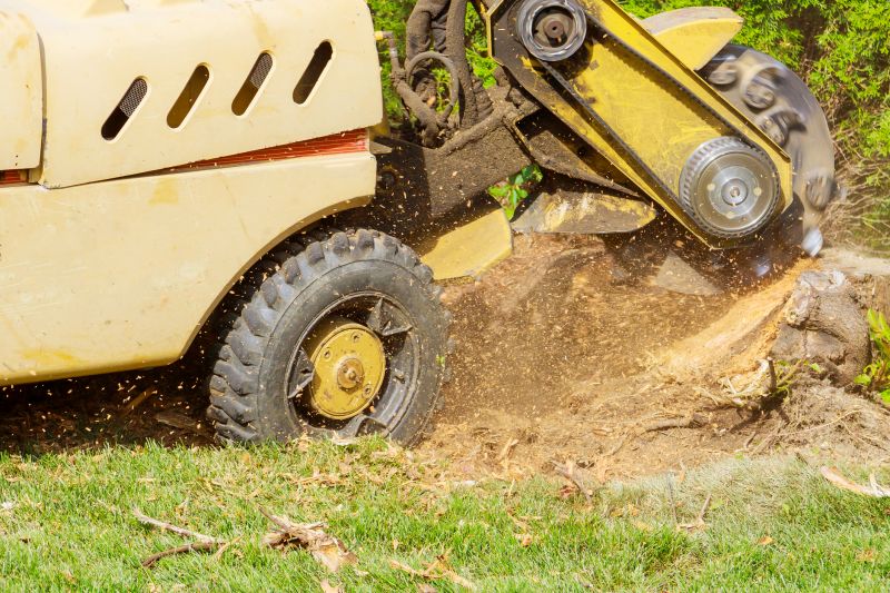 Commercial Stump Grinding in Doylestown, PA