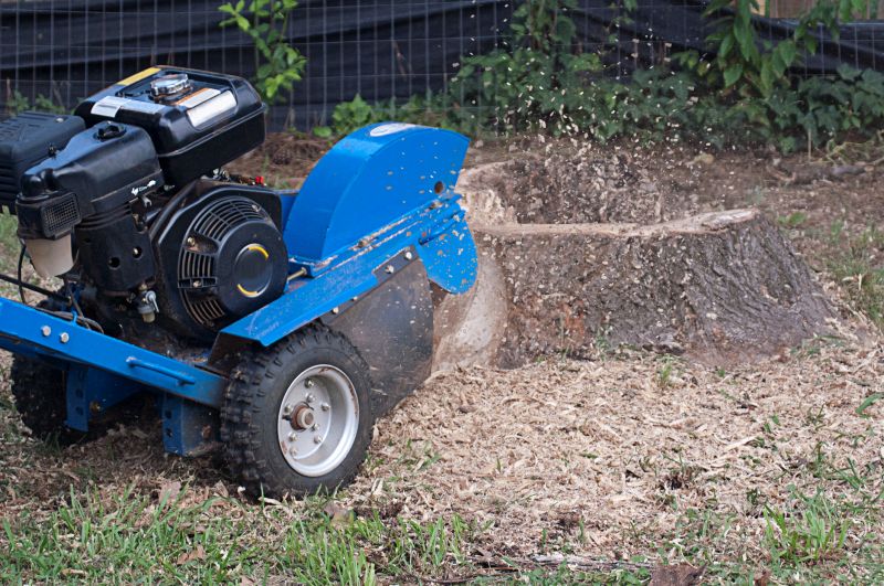 Commercial Stump Grinding in Allentown, PA