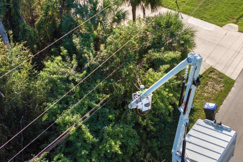 Commercial Tree Trimming in Pottstown, PA