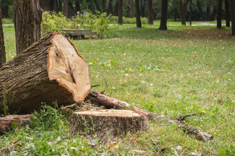 Dead Tree Removal in Pottstown, PA