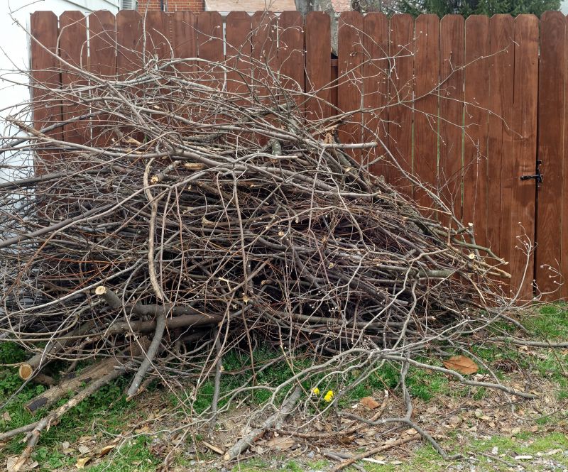 Deadwood Removal in Pottstown, PA