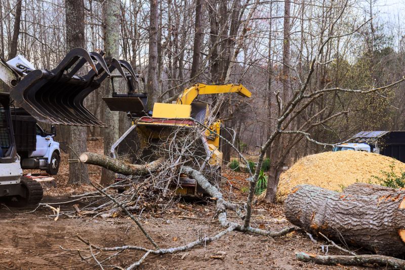 Dogwood Tree Removal in Pottstown, PA
