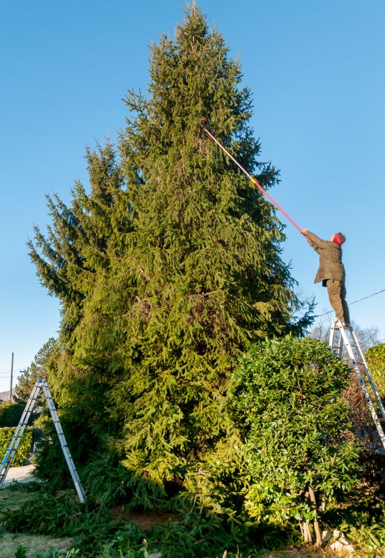 Emergency Tree Trimming in Pottstown, PA