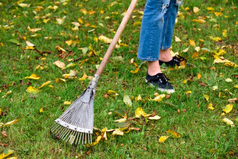 Power Raking in Fall