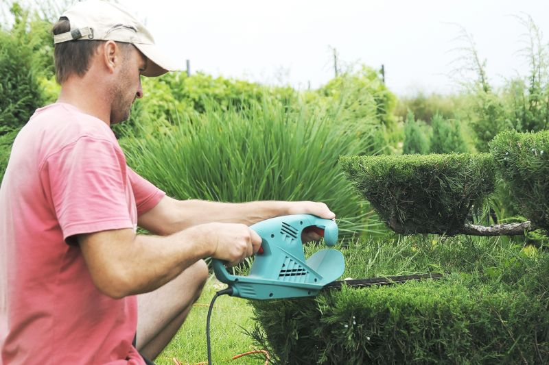Hedge Shaping Service in Honolulu, HI