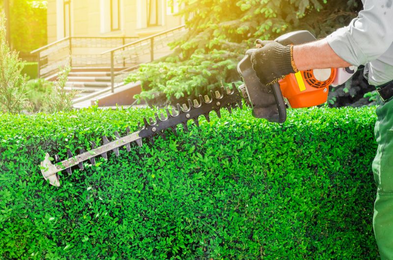 Hedge Trimming in Rockwall, TX