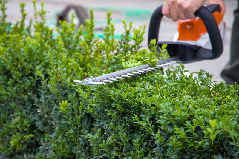 Hedge Trimming in Ventura County, CA