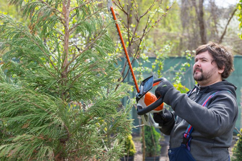 Juniper Pruning in Aiken, SC