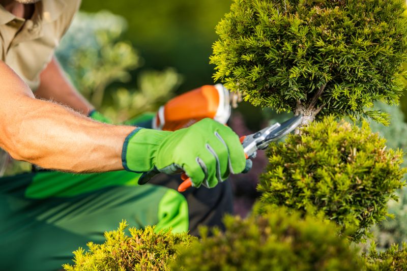 Landscape Trimming Service in Rockwall, TX