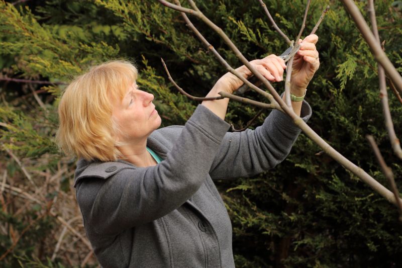 Limb Pruning in Pottstown, PA