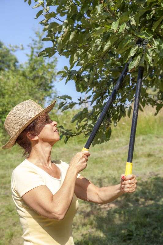 Orchard Tree Pruning in Pottstown, PA