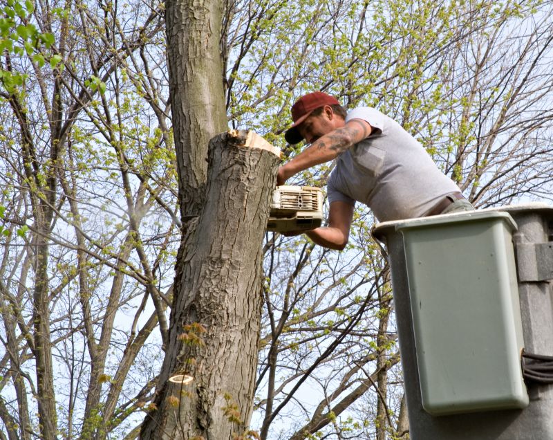 Residential Tree Service in Doylestown, PA