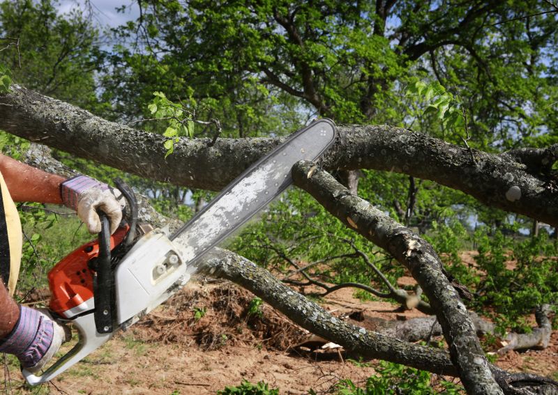 Residential Tree Service in Pottstown, PA