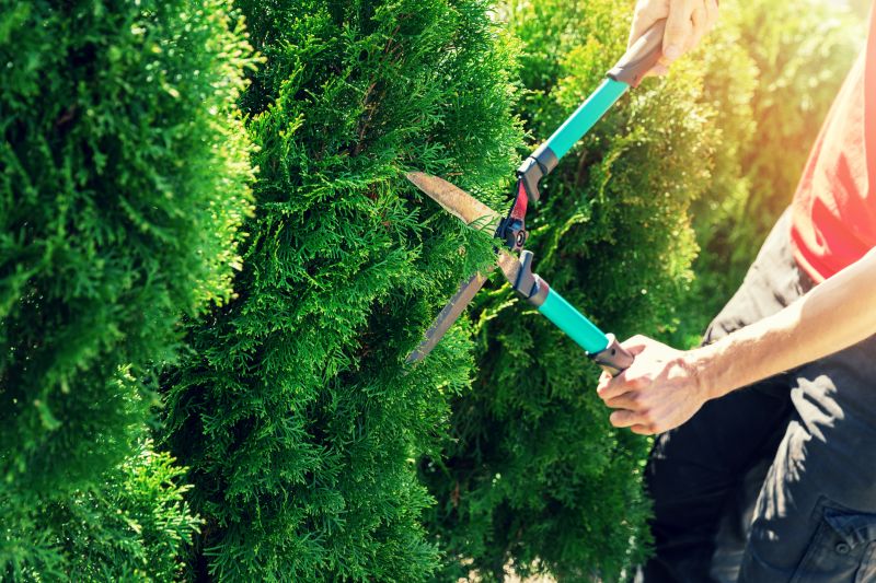 Shrub Pruning in Aiken, SC