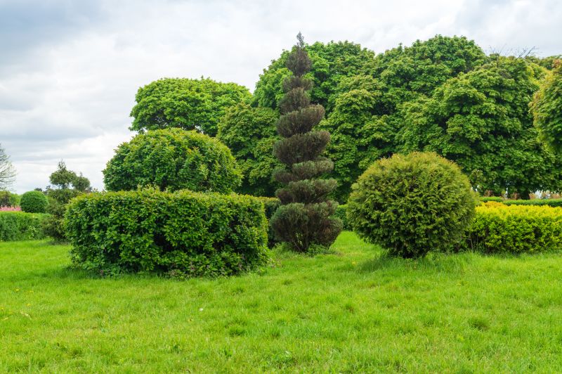 Shrub Shaping in Rockwall, TX