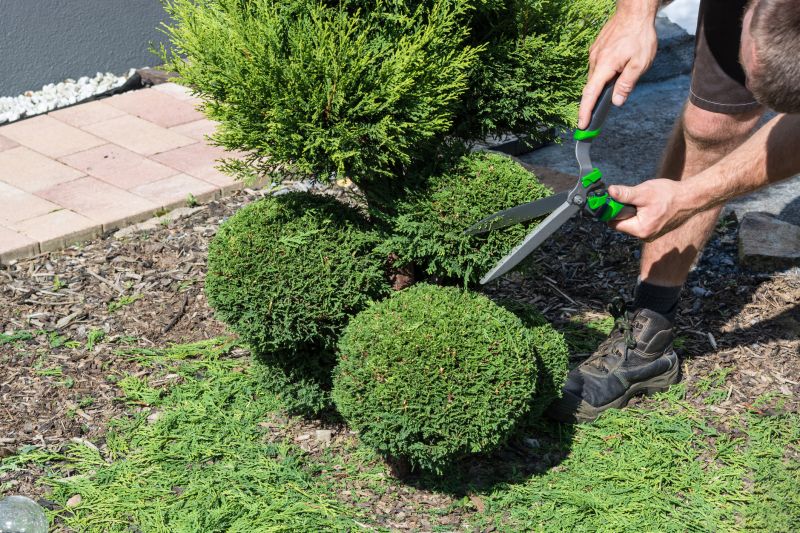 Shrub Shaping in Ventura County, CA
