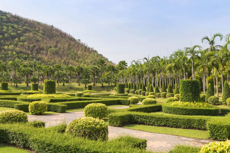Shrubs with Symmetrical Trim