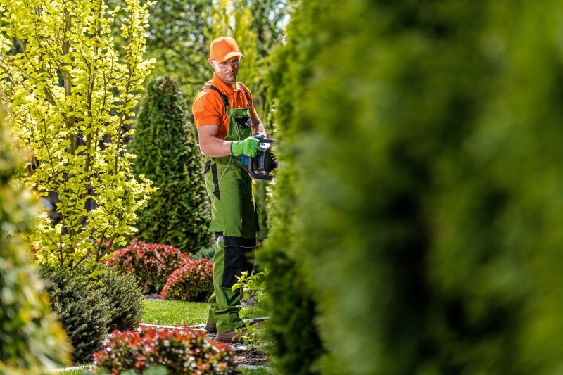 Shrub Trimming in Ventura County, CA