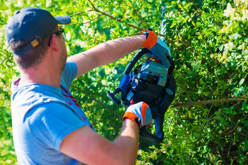 Shrub Trimming in Rockwall, TX