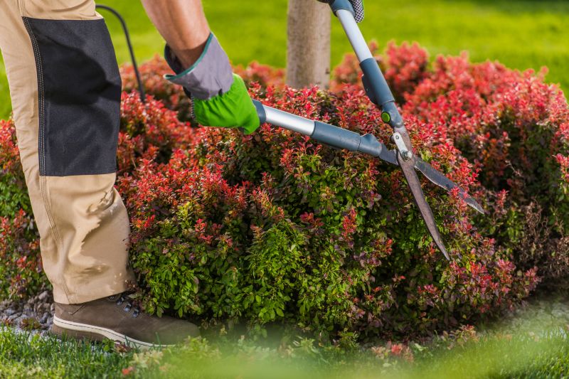Shrub Trimming in Rockwall, TX