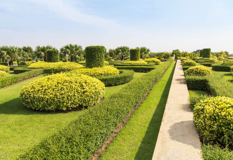 Shrub Trimming in Rockwall, TX