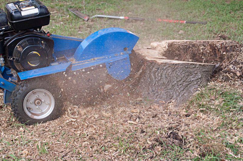 Stump Cutting in Waldorf, MD