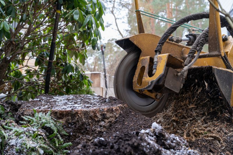 Stump Grinding Service in Calvert County, MD