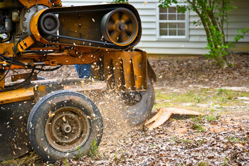 Stump Removal Service in Waldorf, MD