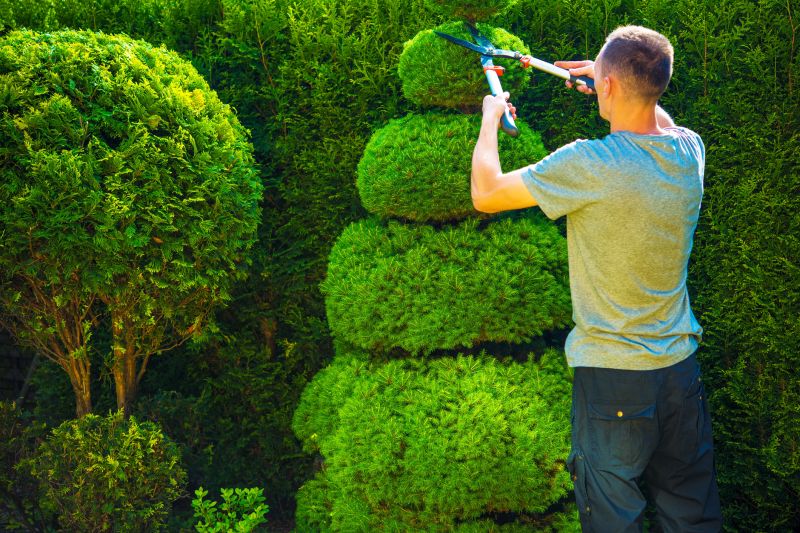Topiary Maintenance