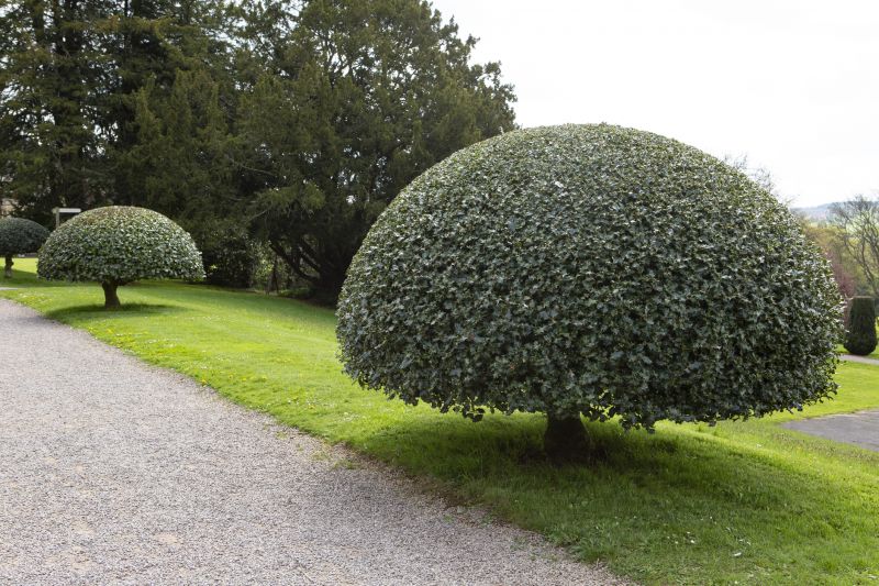 Topiary Maintenance