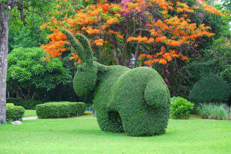 Topiary Maintenance
