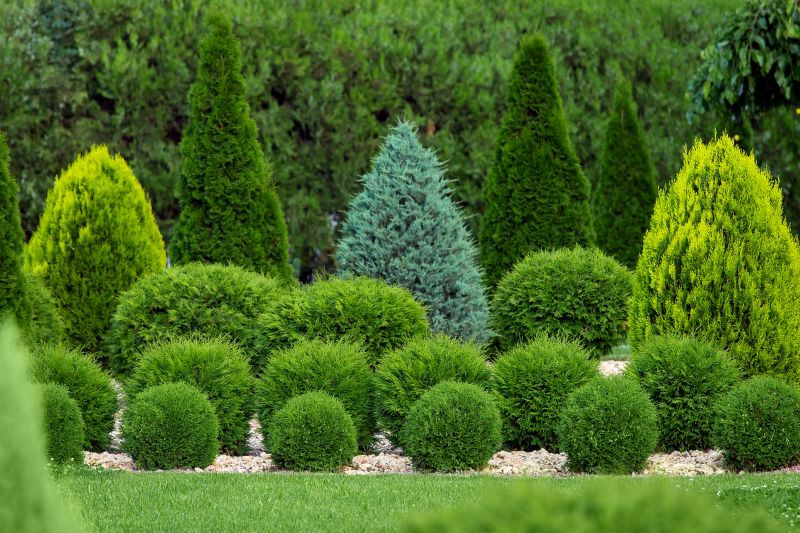 Topiary Shaping in Aiken, SC