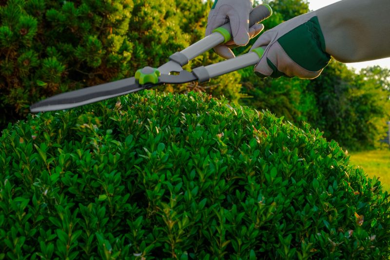 Topiary Shaping in Aiken, SC