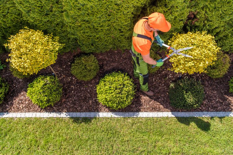 Topiary Shaping in Ventura County, CA