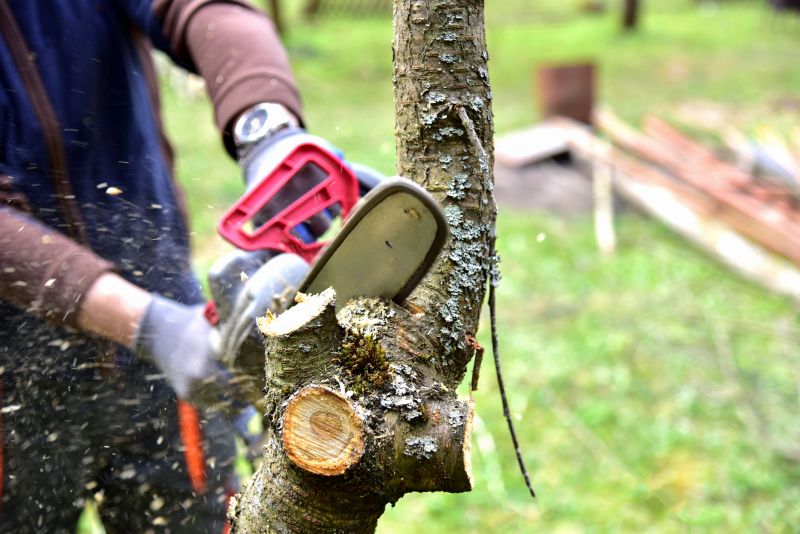 Tree Branch Cutting in Pottstown, PA