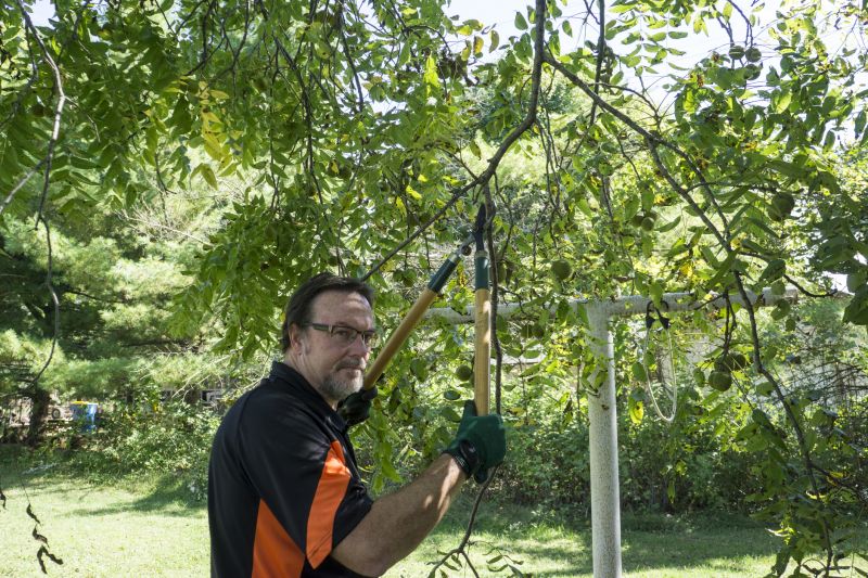 Tree Lopping Service in Pottstown, PA