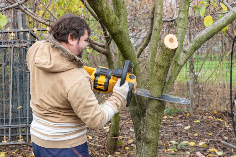 Tree Service in Doylestown, PA